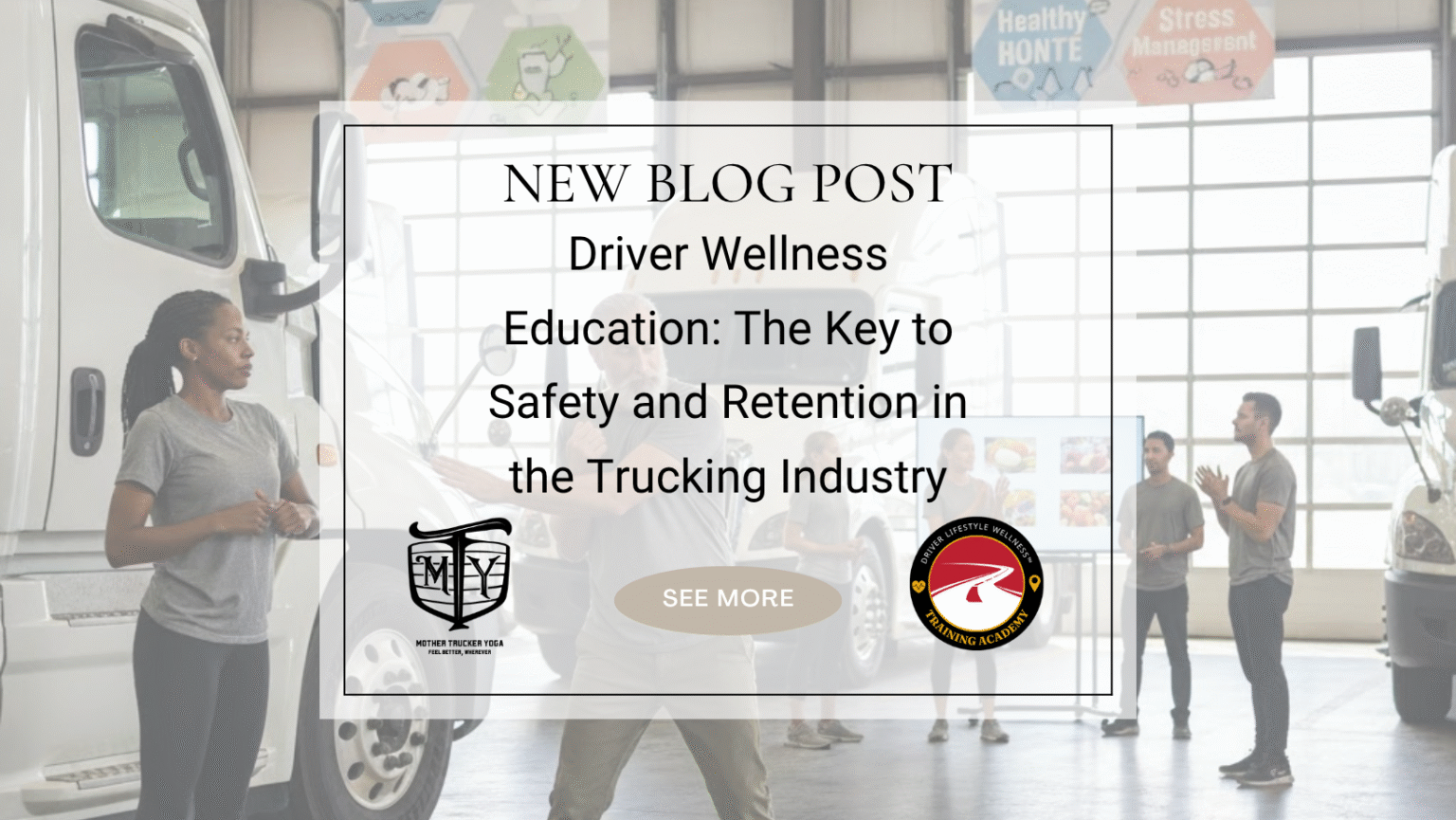 wellness education Driver Lifestyle wellness accademy